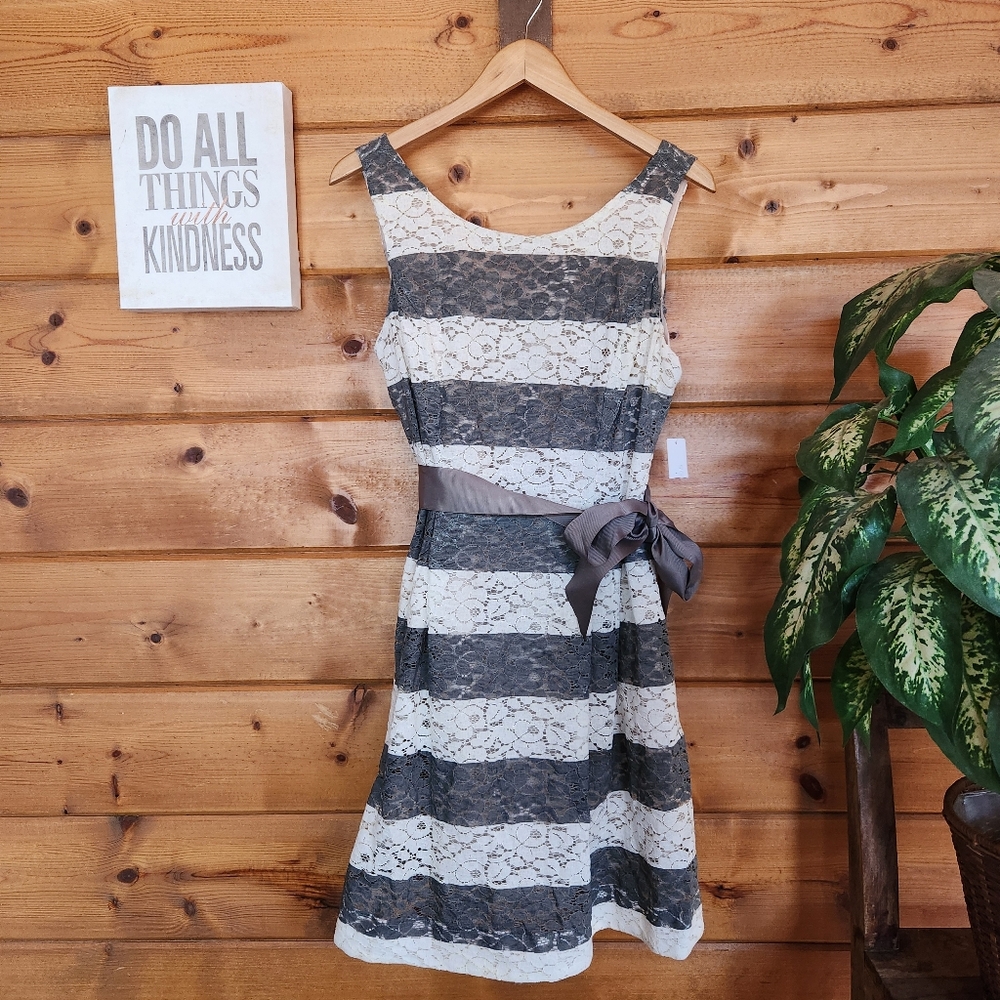 Signature by Robbie Bee NWT Dress Gray White Striped Lace Lined Fit Flare‎ Sz 12